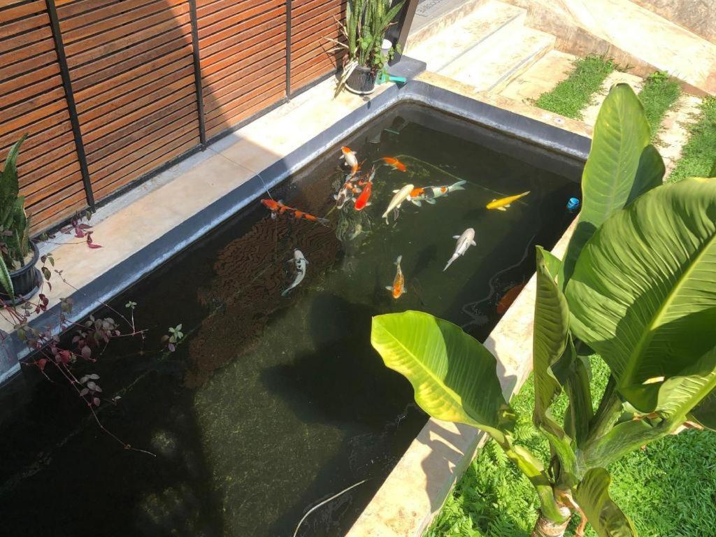 Palmhouse Hotell Mae Hong Son Eksteriør bilde