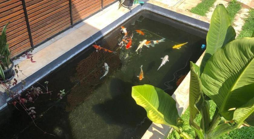 Palmhouse Hotell Mae Hong Son Eksteriør bilde